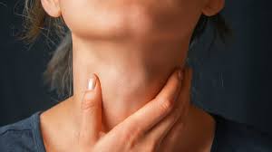 Neck / throat