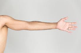 Arms 1/2