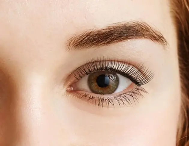 eyebrow or eyelash tint